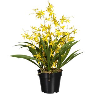 Creativ-green Kunstblume Orchidee, Oncydie, Dancing Queen, gelb, im Topf, Höhe 60 cm