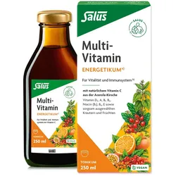Salus Multi-Vitamin ENERGETIKUM 250 ml Tonikum