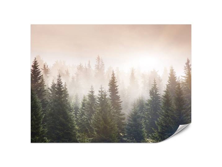 FOTOTAPETE für Wohnzimmer Nadelwald Bäume im Nebel Mystisch 200x140