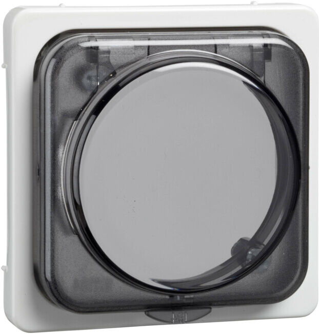 Elso Plaque centrale rw 207214 (207214)