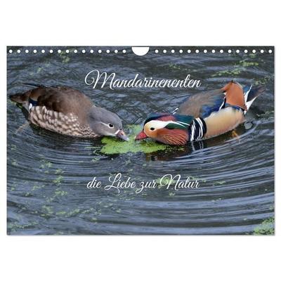 Mandarinenenten, die Liebe zur Natur (Wandkalender 2027 DIN A4 quer), CALVENDO Monatskalender