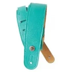 D'Addario 20GL04, Gitarre Zubehör