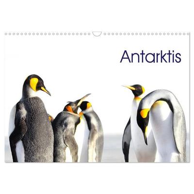 Antarktis - Viaje (Wandkalender 2027 DIN A3 quer), CALVENDO Monatskalender