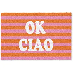 FUSSMATTE Ciao - Zitat - Streifen Sauberlaufmatte 180x120 cm