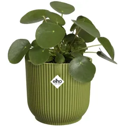Elho, Blumentopf, Pflanzengefäss Vibes fold ø 25 cm (25 x 23 cm)