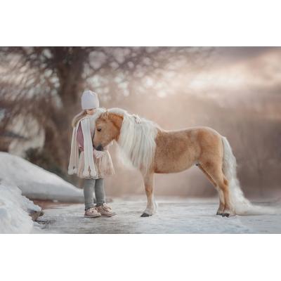 Fototapete PAPERMOON "PALOMINO MINIATURE PFERD-MÄDCHEN WINTER TIER PONY MINI", bunt, B:3m L:2,23m, Vlies, Tapeten