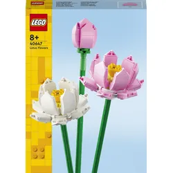 Lotusblumen
