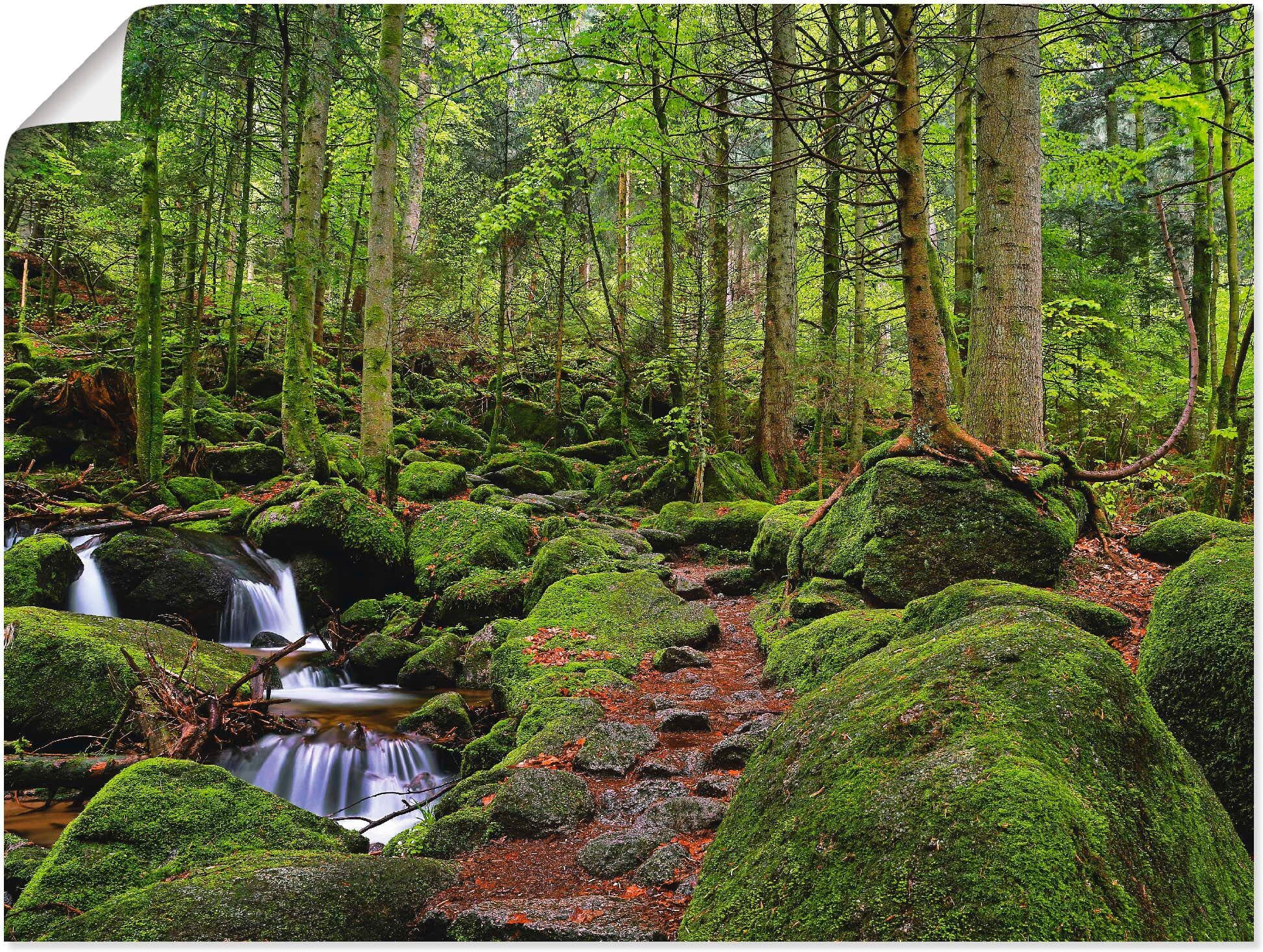 Poster ARTLAND "Zauberwald", grün (farbe bild(er): grün), B:40cm H:30cm, Bilder, Poster, ohne Rahmen farbe bild(er): grün B/H/T: 40cm x 30cm, Poster Wald Querformat, 1 Stk.