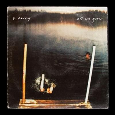 All We Grow (Ten Year Anniversary Edition) - S. Carey, Vinyl