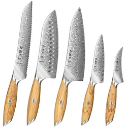 Hezhen - Damastmesser Set 5-teilig - X01 Flagship Serie