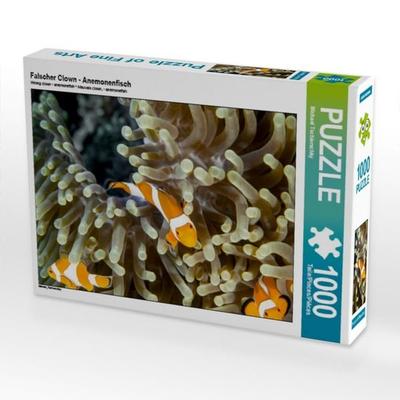 CALVENDO Puzzle Falscher Clown - Anemonenfisch 1000 Teile Puzzle quer | 1000 Teile Lege-Größe 64 × 48 cm Foto-Puzzle für glückliche Stunden