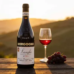 Borgogno 2023 Borgogno Langhe Barbera Bompe 2023 Barbera Italien