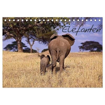 Elefanten (Tischkalender 2027 DIN A5 quer), CALVENDO Monatskalender