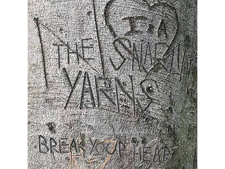 Break Your Heart
