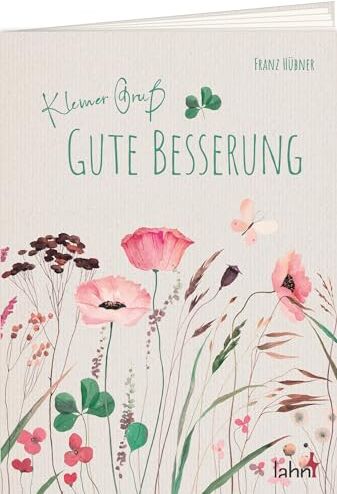 Franz Hübner - Kleiner Gruß - Gute Besserung (Geschenkhefte Kleiner Gruß) - Preis vom 30.09.2026 09:01:18 h