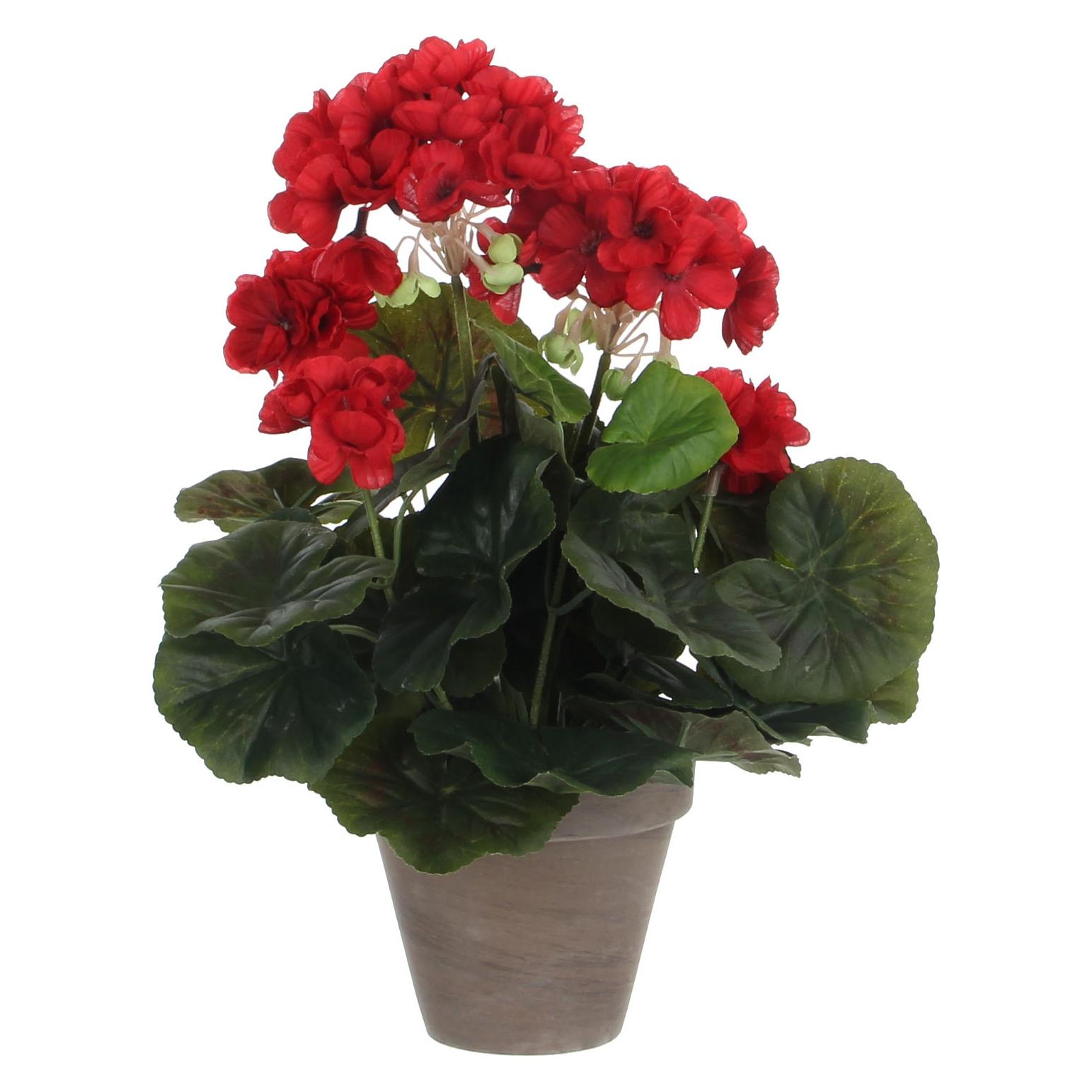Mica Decorations Künstliche Geranie Rot im grauen Topf (34 cm) (975161)