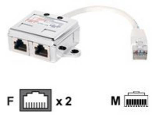 Equip - Netzwerk-Splitter - RJ-45 (M) zu RJ-45 (W)