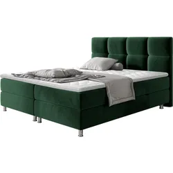 BOXBETT Dave - H3