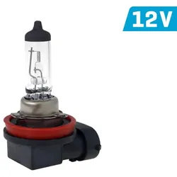 Vision H11 Glühlampe 12V 55W PGJ19-2 U E4