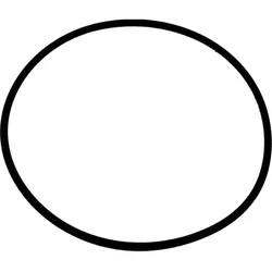 Wolf O-Ring 132 x 4 Viton 8905738 für COB