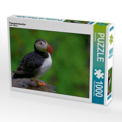 CALVENDO Puzzle Papageientaucher | 1000 Teile Lege-Größe 64x48cm Foto-Puzzle für glückliche Stunden