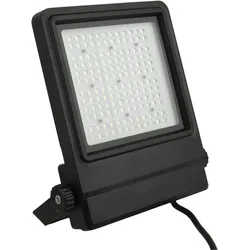 Showtec Cedda 100W LED Floodlight Hellweißer LED-Fluter mit 100 W