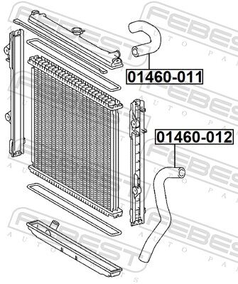 Febest Kühlmittelrohrleitung 01460-011 Für Toyota
