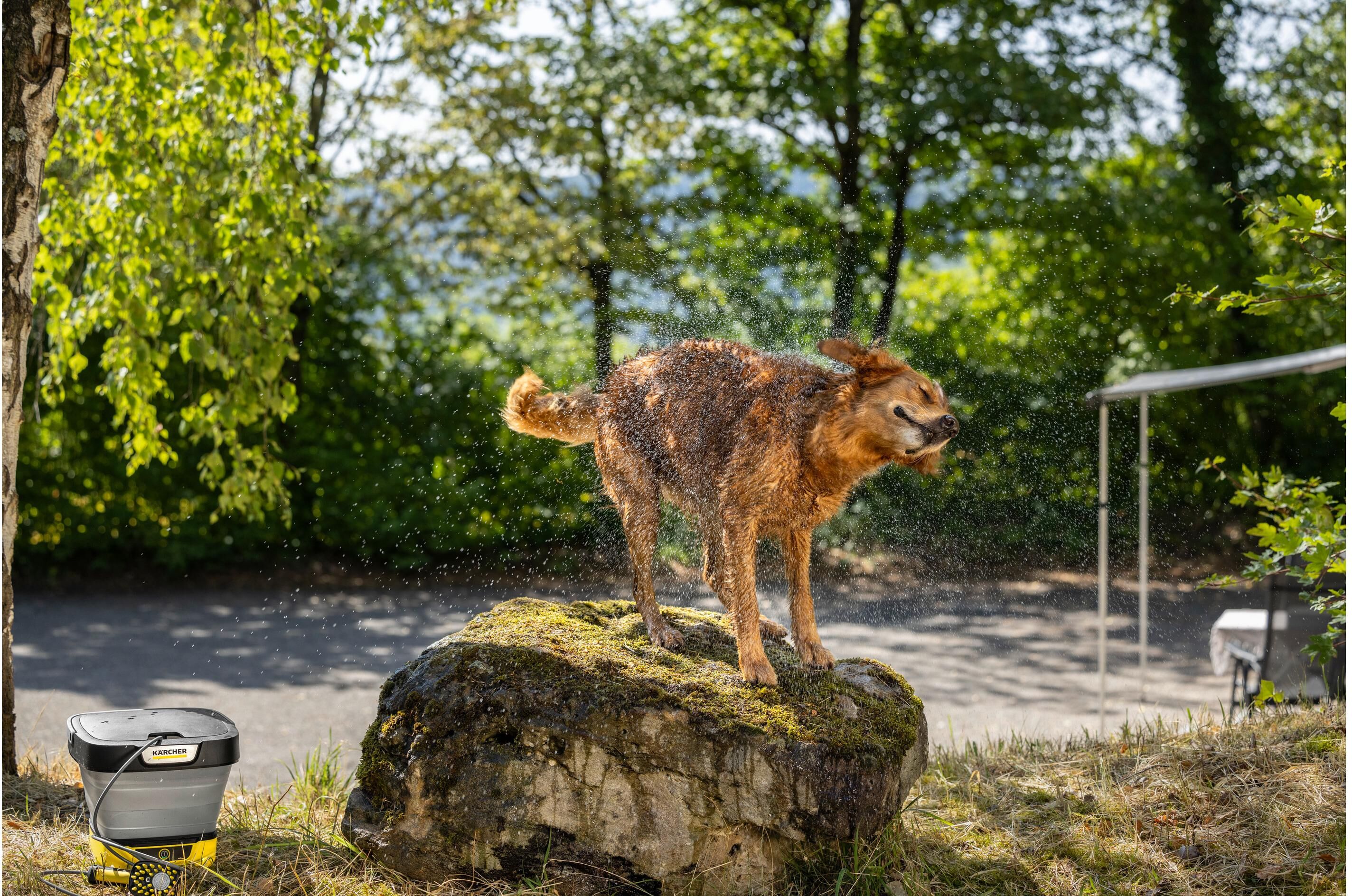 Kärcher Bürste "Haustier", schwarz (bunt), Staubsaugerdüsen, Bürste bunt Einheitsgröße