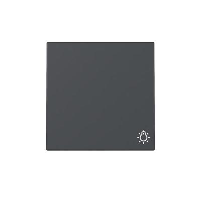 Gira Wippe Symb. Licht 328528