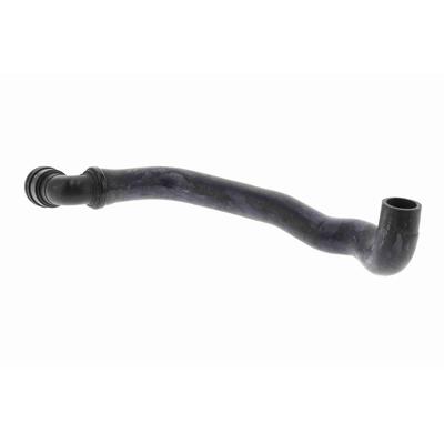 VAICO Kühlerschlauch Original Qualität V25-1493 unten für Ford
