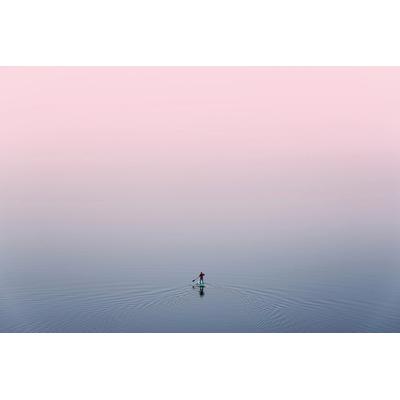 Fototapete PAPERMOON "Ente im Wasser", bunt, B:4,5m L:2,8m, Vlies, Tapeten