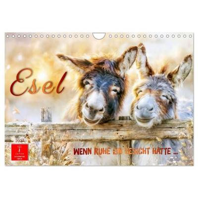 Esel - Wenn Ruhe ein Gesicht hätte (Wandkalender 2027 DIN A4 quer), CALVENDO Monatskalender