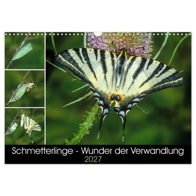 Schmetterlinge - Wunder der Verwandlung (Wandkalender 2027 DIN A3 quer), CALVENDO Monatskalender