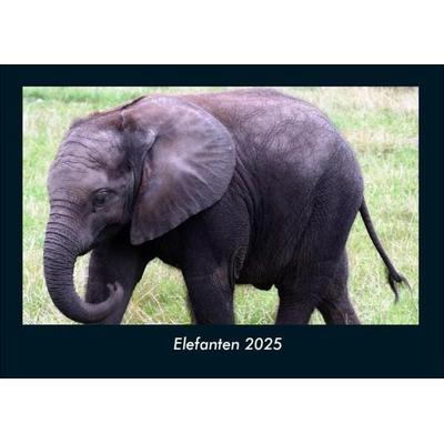 Elefanten 2025 Fotokalender DIN A4