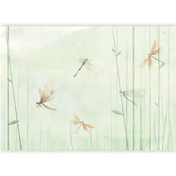 Artgeist, Tapete, Fototapete - Dragonflies in the Meadow (300 x 210 cm)