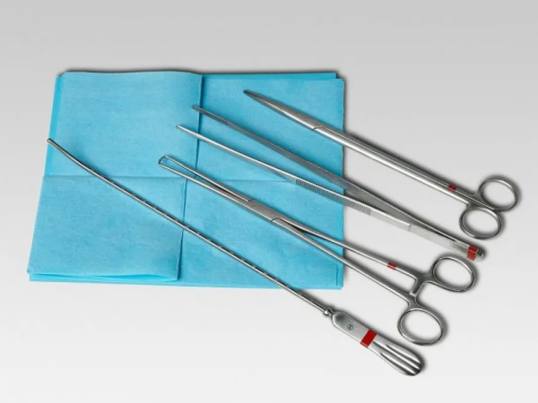 Fuhrmann GmbH Einmal, IUP-Set, 4 sterile Einmalinstrumente aus Edelstahl (10 Sets) 370252