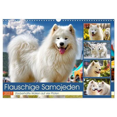 Flauschige Samojeden. Zauberhafte Wolken auf vier Pfoten (Wandkalender 2027 DIN A3 quer), CALVENDO Monatskalender