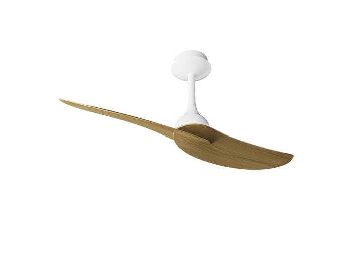 Ventilateur de plafond IPANEMA II – 106 cm
