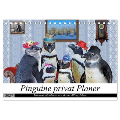Pinguine privat Planer (Tischkalender 2027 DIN A5 quer), CALVENDO Monatskalender