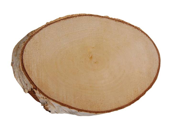 Rayher Birken-Scheibe Oval 21-23 cm