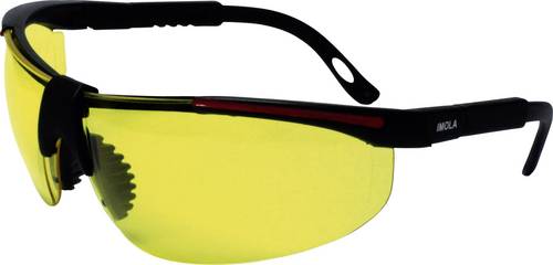 Protectionworld 2012008 Schutzbrille inkl. UV-Schutz Schwarz, Rot EN 166-1 DIN 166-1