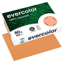 Clairefontaine Recyclingpapier Evercolor DIN A4 80 g/m2 lachs
