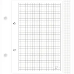 Interdruk Ringbucheinlagenblock A4 kariert 100 Blatt