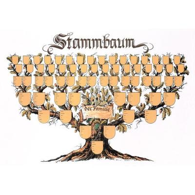 Schmuckbild 'Stammbaum'