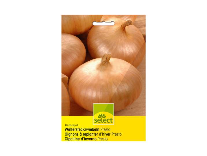 Select Steckzwiebeln Presto 250 g