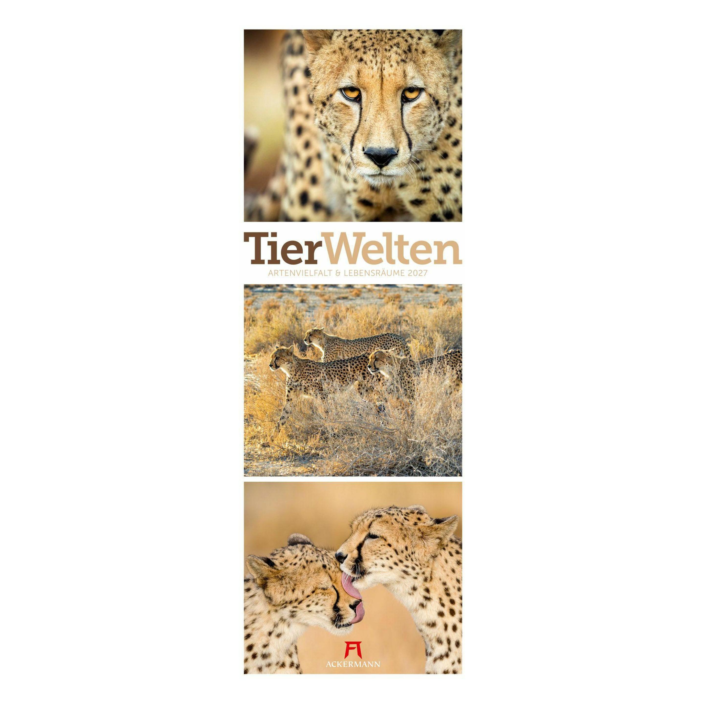 Ackermann Tierwelten Triplet-Kalender 2027 | Artenvielfalt & Lebensräume (66783334)