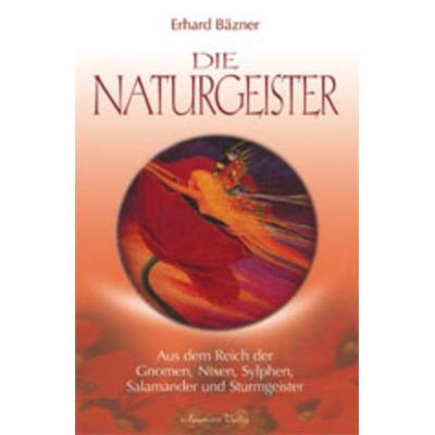 Die Naturgeister, Taschenbuch von Erhard Bäzner, Aquamarin, 978-3-89427-274-6