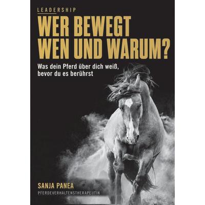 Wer bewegt wen und warum?, Taschenbuch von Sanja Panea, Tredition, 978-3-567-01865-7