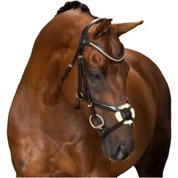 Imperial Riding, Zaumzeug