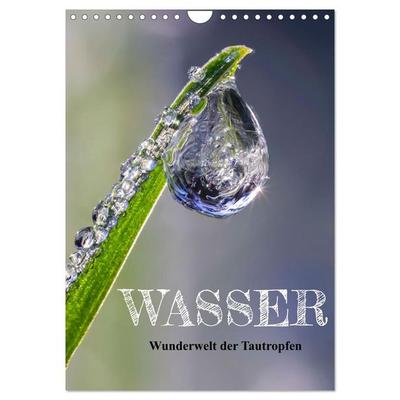 Wasser - Wunderwelt der Tautropfen (Wandkalender 2026 DIN A4 hoch), CALVENDO Monatskalender